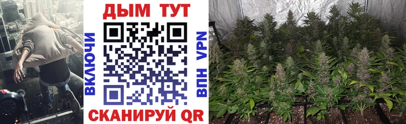 Виды наркоты Сатка MDMA APVP МЕФ Конопля Галлюциногенные грибы