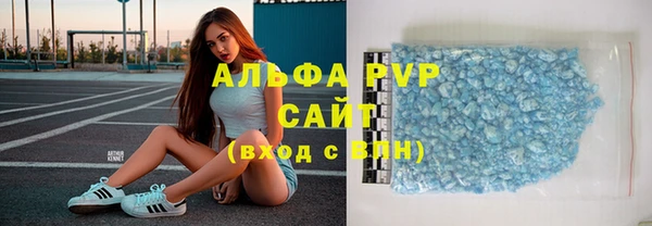 шишки Надым