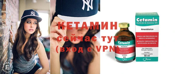 шишки Надым