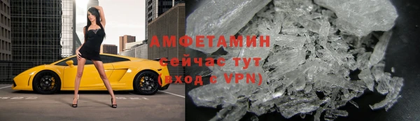 шишки Надым