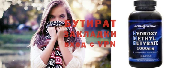 шишки Надым