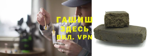 шишки Надым