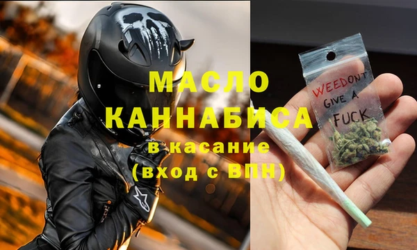 шишки Надым