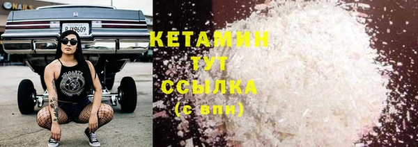 шишки Надым
