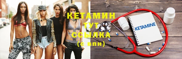 шишки Надым