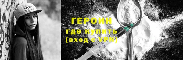 шишки Надым