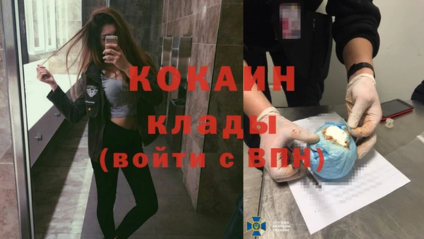 шишки Надым