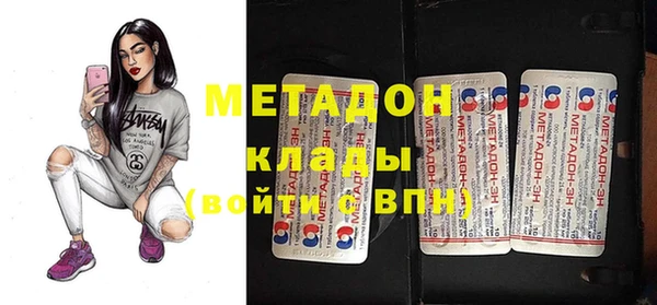 шишки Надым