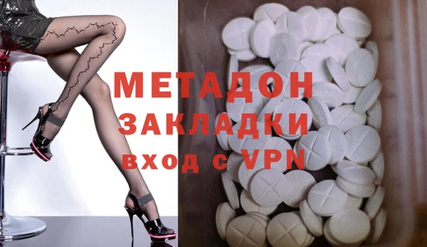 шишки Надым