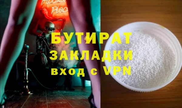 шишки Надым