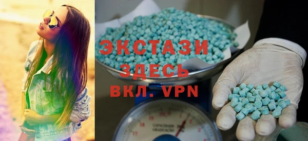 шишки Надым