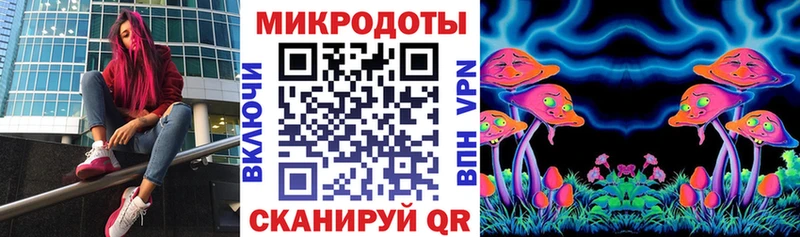 Псилоцибиновые грибы Psilocybe  Сатка 