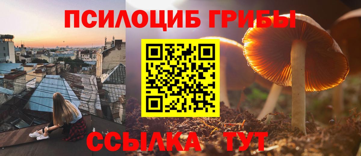 Галлюциногенные грибы Cubensis Сатка